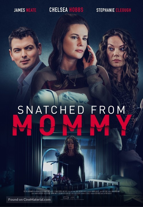 Snatched from Mommy - Movie Poster