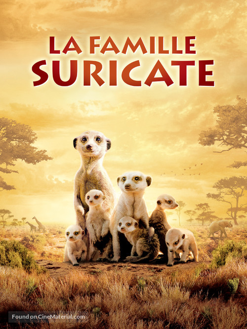 The Meerkats - French Movie Poster