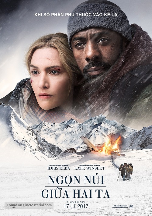 The Mountain Between Us - Vietnamese Movie Poster