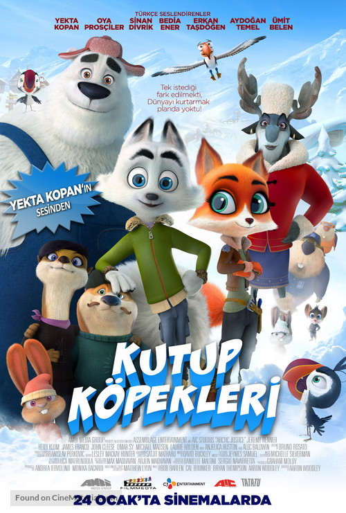 Arctic Justice - Turkish Movie Poster