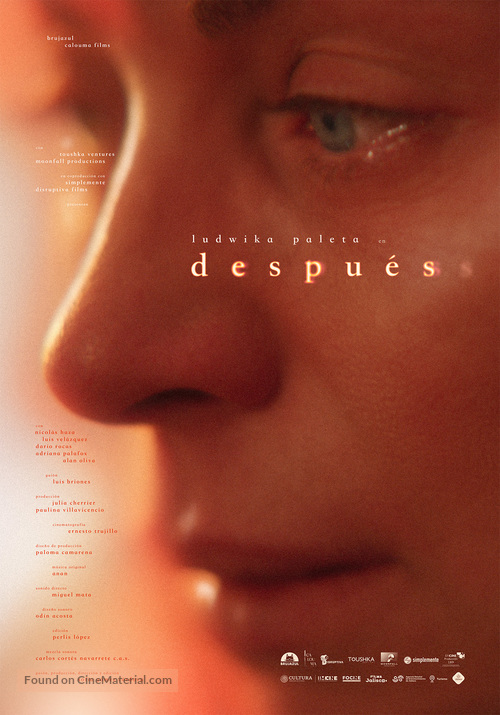 Despu&eacute;s - Mexican Movie Poster