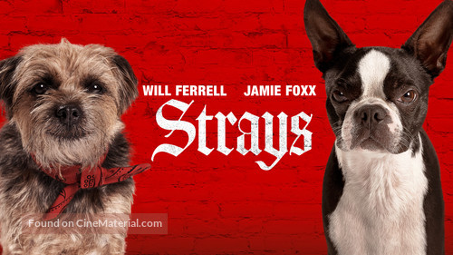 Strays - Movie Cover