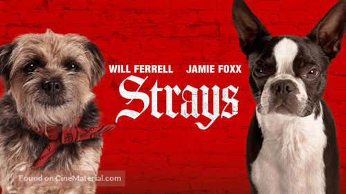 Strays - Movie Cover