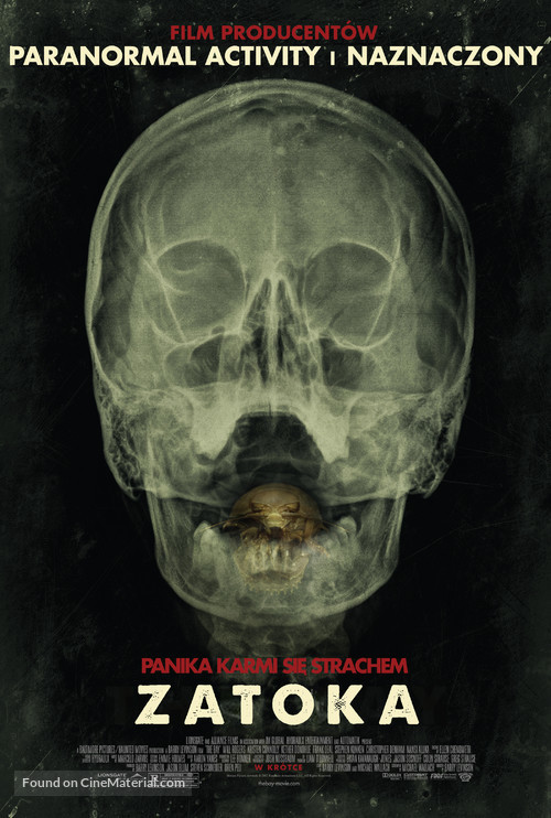 The Bay - Polish Movie Poster