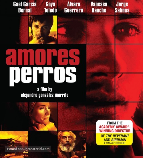 Amores Perros - Blu-Ray movie cover