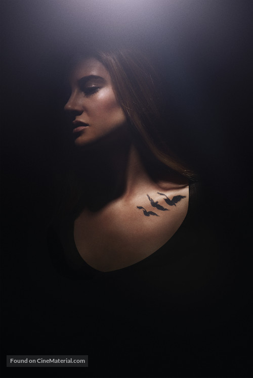 Divergent - Key art