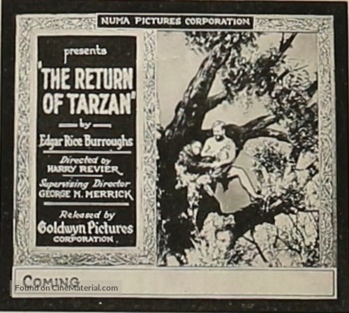 The Revenge of Tarzan - poster