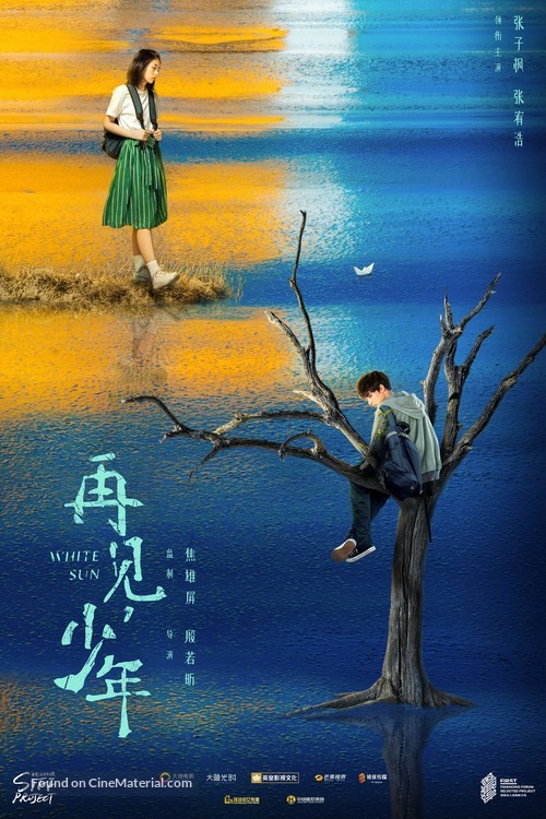 Zai Jian Shao Nian - Chinese Movie Poster
