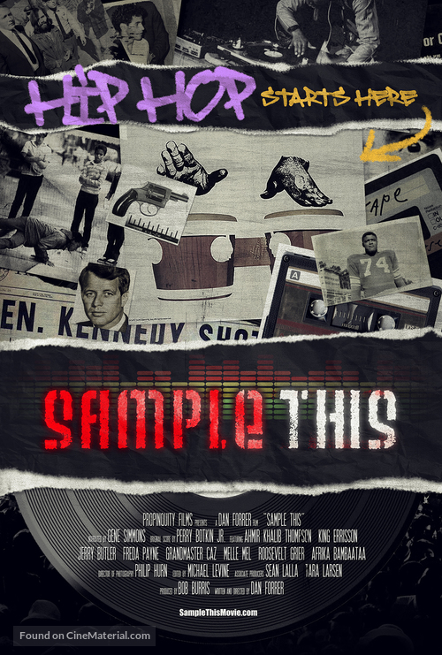 Sample This - Movie Poster