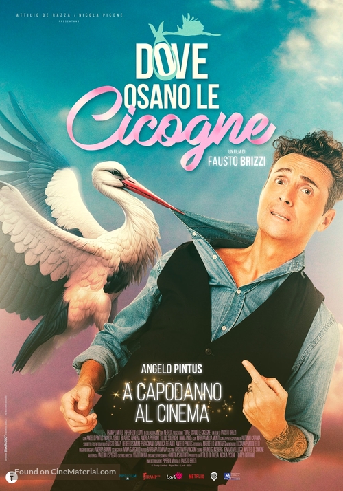 Dove osano le cicogne - Italian Movie Poster