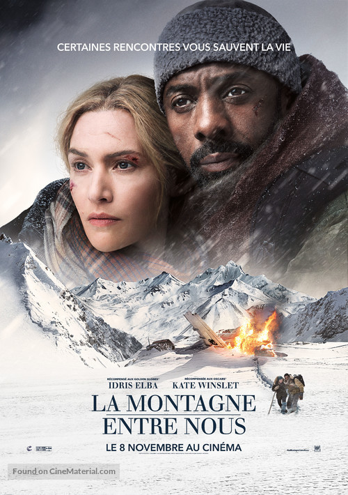 The Mountain Between Us - French Movie Poster