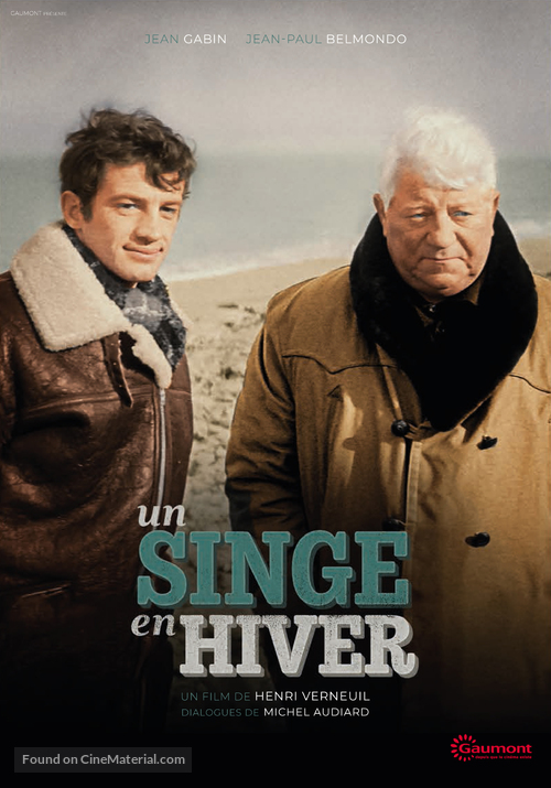 Un singe en hiver - French DVD movie cover