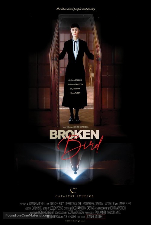 Broken Bird - British Movie Poster