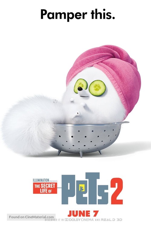 The Secret Life of Pets 2 - Movie Poster
