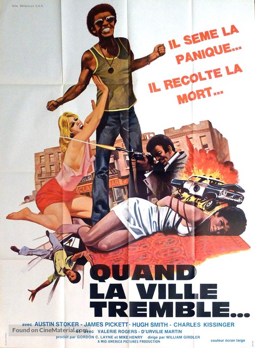 The Zebra Killer - French Movie Poster