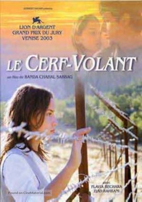 Le cerf-volant - French DVD movie cover