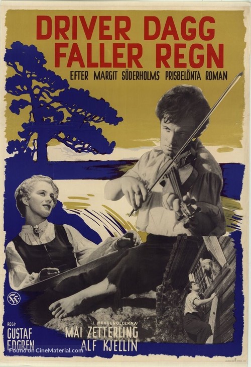 Driver dagg faller regn - Swedish Movie Poster