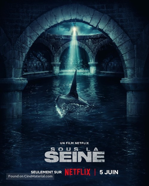 Sous la Seine - French Movie Poster