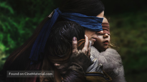 Bird Box - Key art