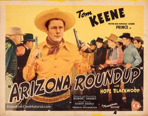 Arizona Roundup - Movie Poster