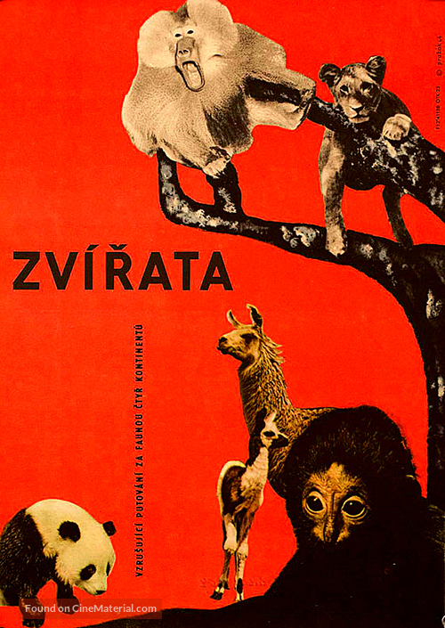 Les animaux - Czech Movie Poster