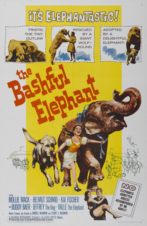 The Bashful Elephant - Movie Poster