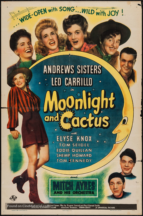 Moonlight and Cactus - Movie Poster