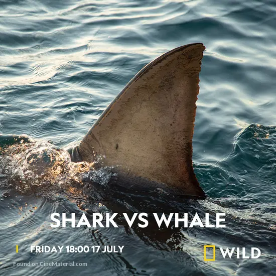 Shark vs. Whale (2020) movie poster