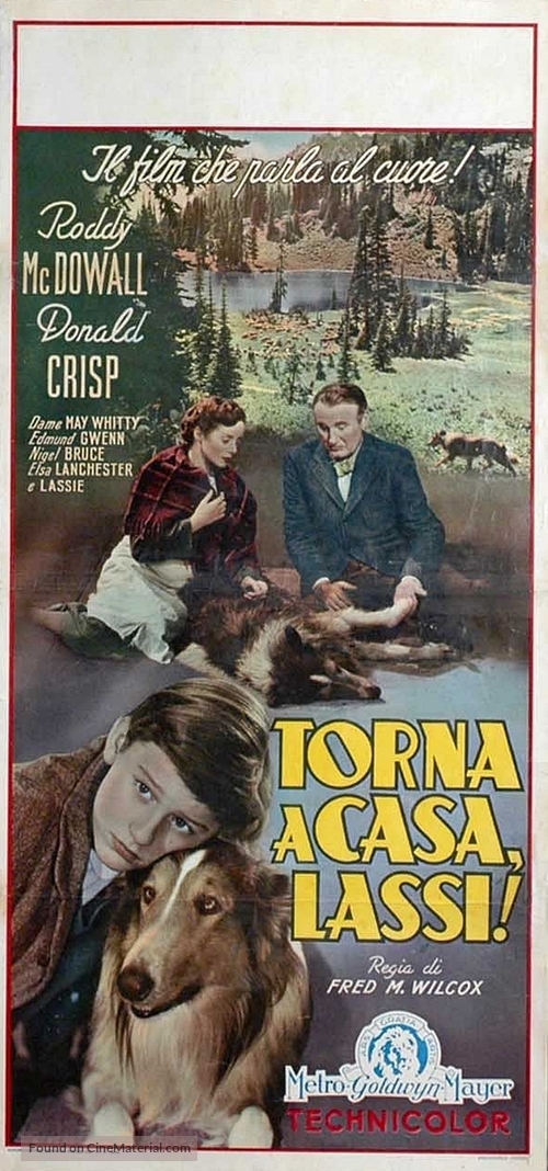 Lassie Come Home - Italian Movie Poster