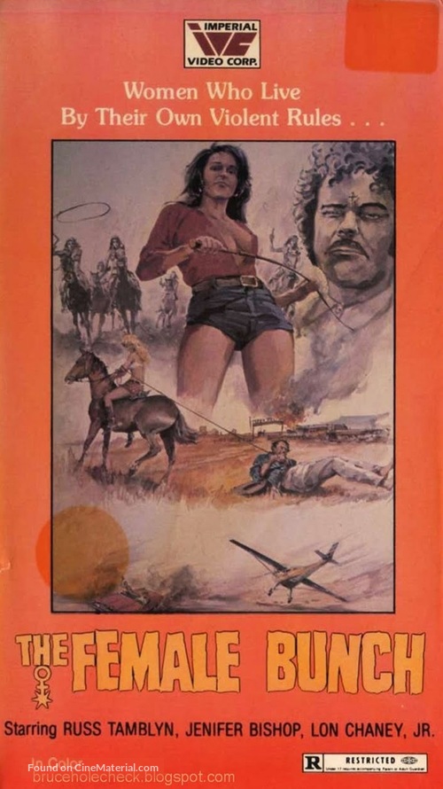 The Female Bunch - VHS movie cover