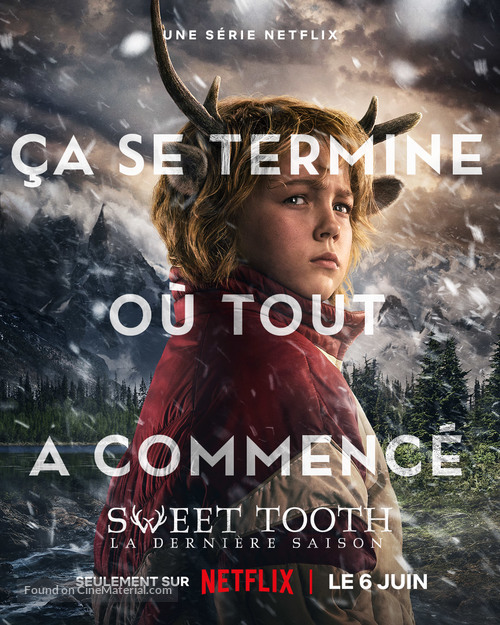 &quot;Sweet Tooth&quot; - French Movie Poster