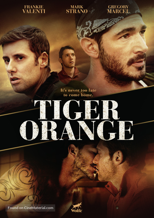Tiger Orange - DVD movie cover