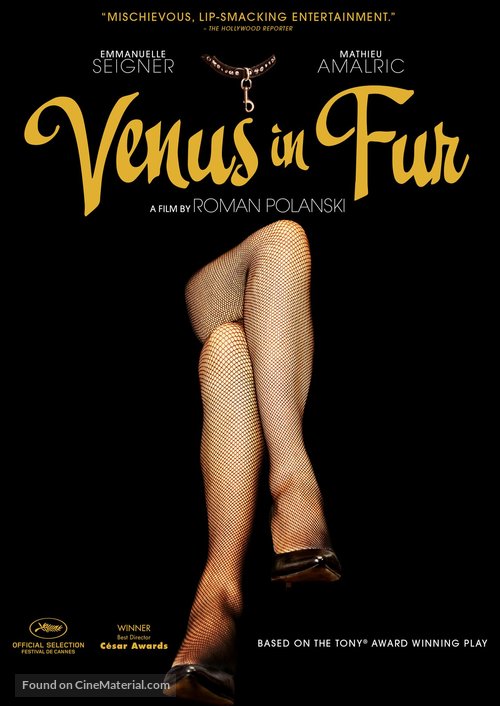 La V&eacute;nus &agrave; la fourrure - DVD movie cover