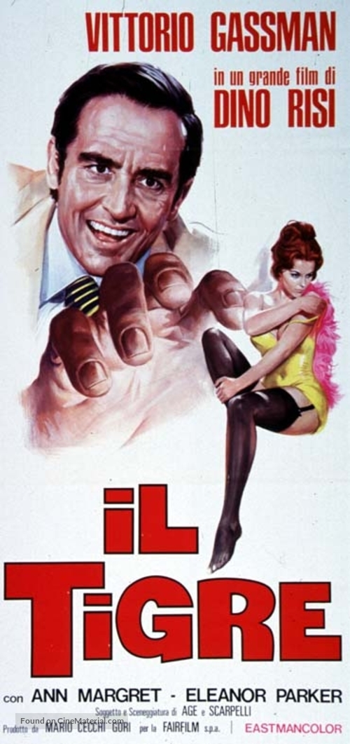 Il tigre - Italian Movie Poster