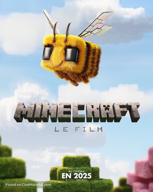 A Minecraft Movie - French Movie Poster