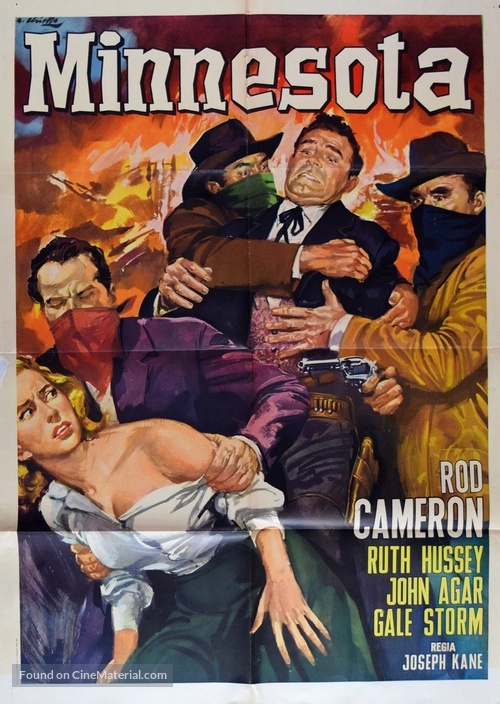 Woman of the North Country - Italian Movie Poster