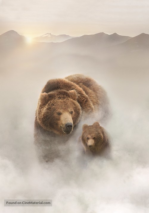 Terre des ours - French Key art