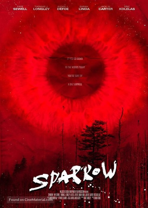 Sparrow - Polish Movie Poster