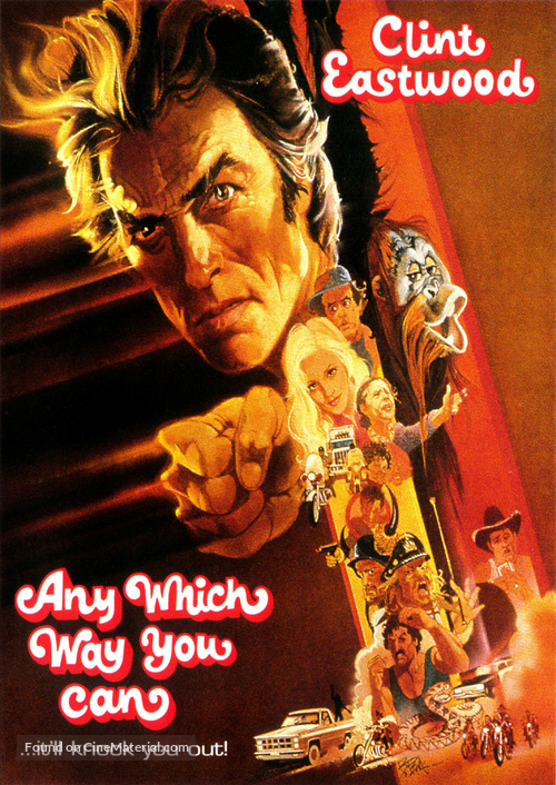 Any Which Way You Can - DVD movie cover