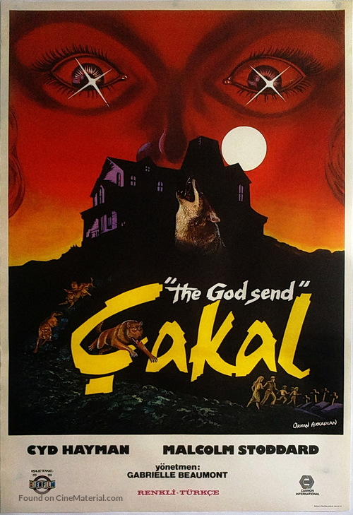 The Godsend - Turkish Movie Poster