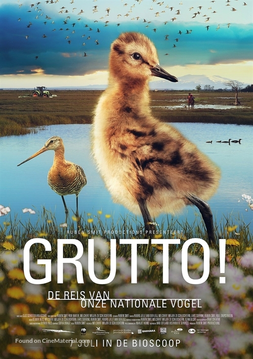 Grutto! De Reis van onze Nationale Vogel - Dutch Movie Poster