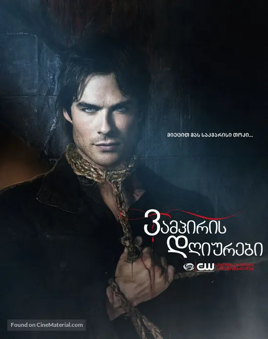 &quot;The Vampire Diaries&quot; - Georgian Movie Poster