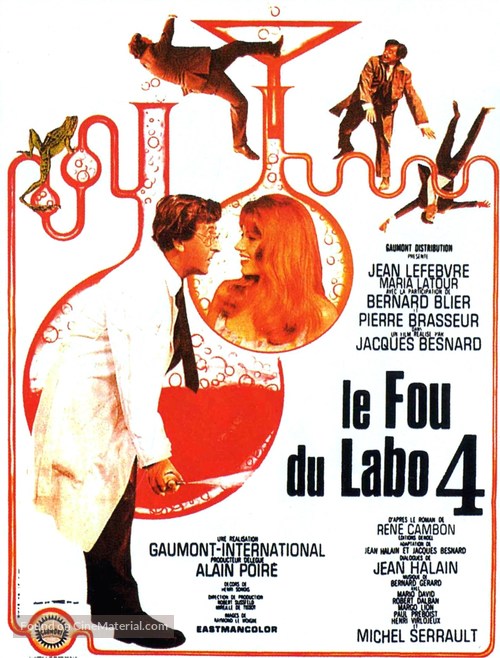 Le fou du labo IV - French Movie Poster