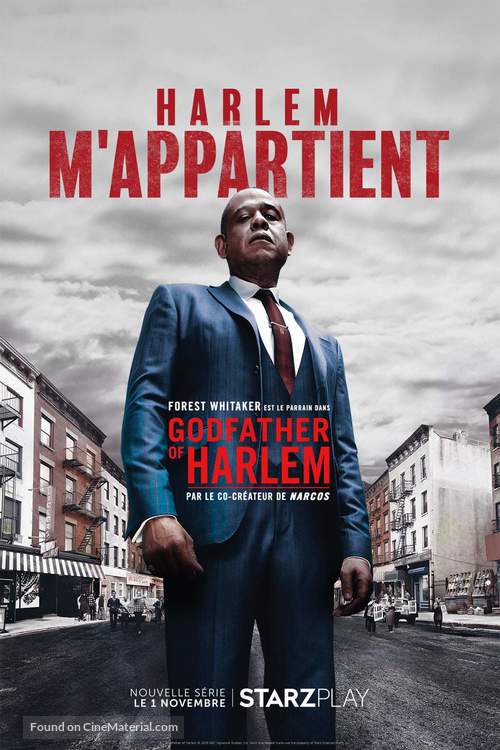 &quot;The Godfather of Harlem&quot; - French Movie Poster