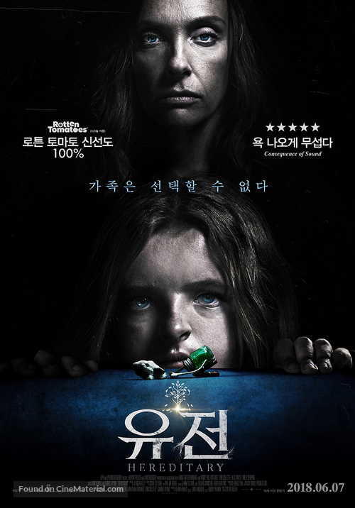 Hereditary - South Korean Movie Poster