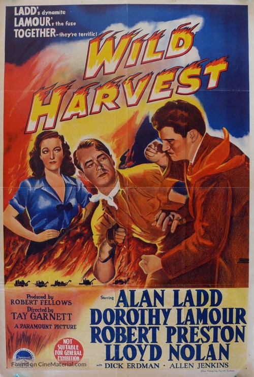 Wild Harvest - Australian Movie Poster
