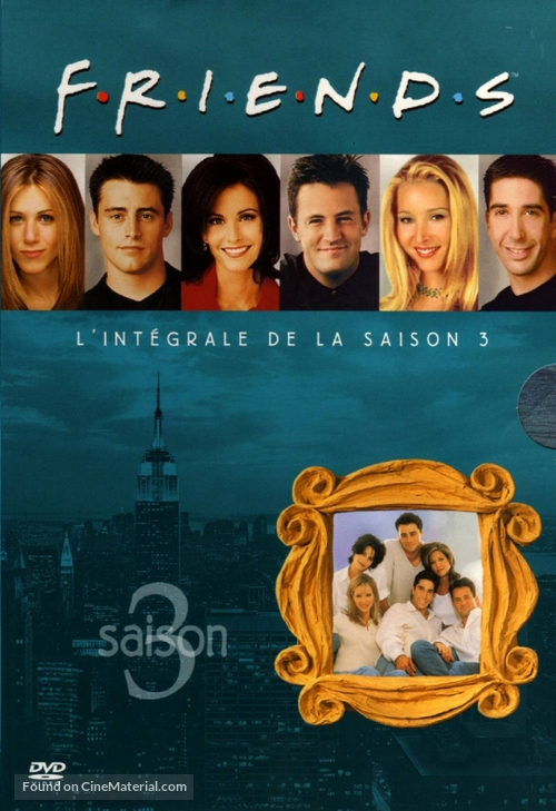 &quot;Friends&quot; - French DVD movie cover