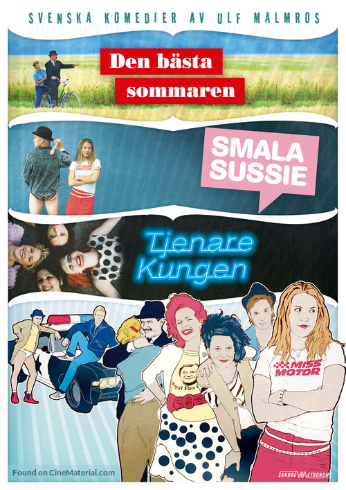 Den b&auml;sta sommaren - Swedish DVD movie cover