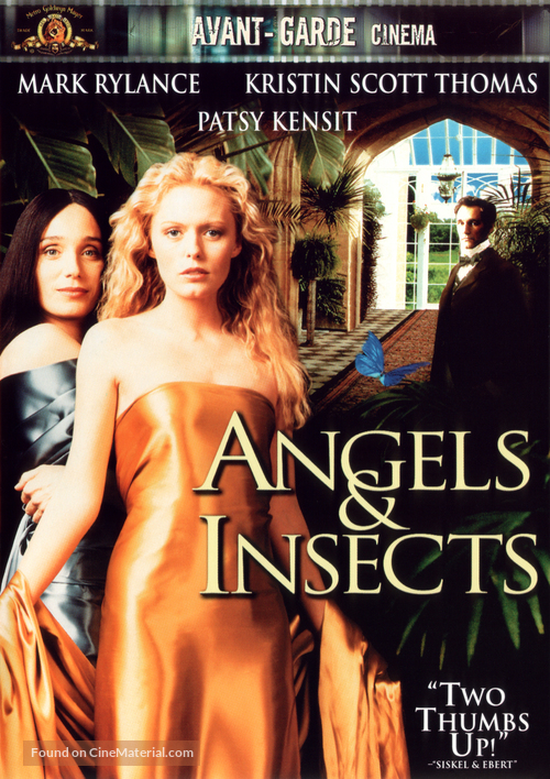 Angels &amp; Insects - DVD movie cover