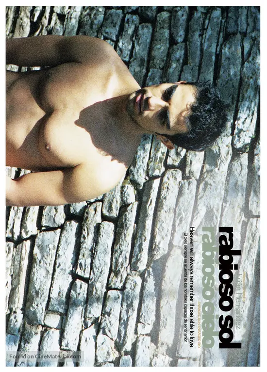 Rabioso Sol Rabioso Cielo 2009 Mexican Movie Poster